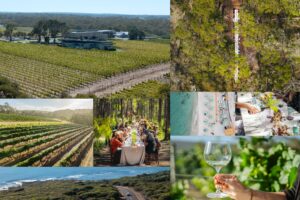 With “The World’s 50 Best Vineyards Awards” 2025, Margaret River at the center of wine world