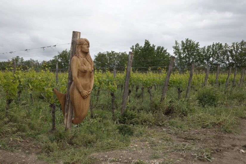 Massimo Bartolini - Tenuta Castelgiocondo