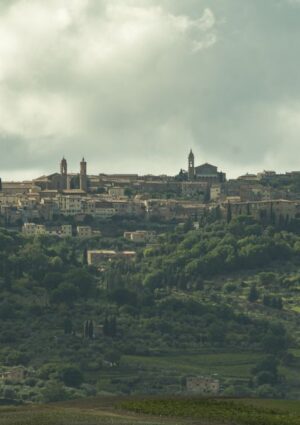 Bartolommei (Brunello): “necessità di attivare un programma di promozione per rilancio della Docg”