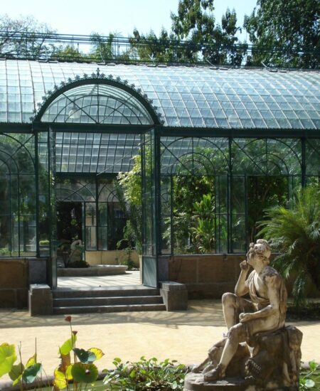L’Orto Botanico di Palermo