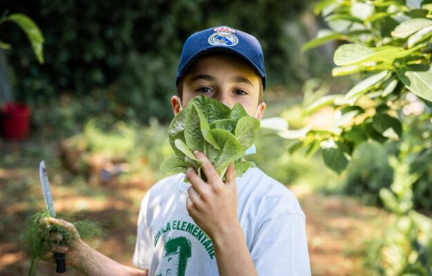 ALIMENTAZIONE, Festa degli orti, ORTI SLOW FOOD, SCUOLE, SLOW FOOD, Non Solo Vino