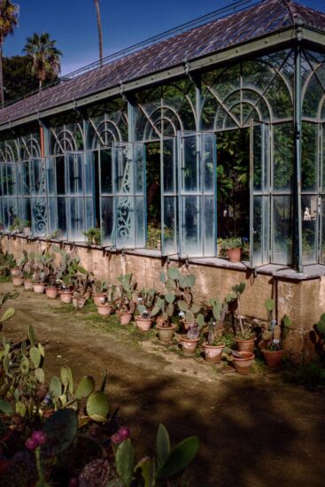 Palermo vista dall’obbiettivo del fotografo Maurizio Adamo