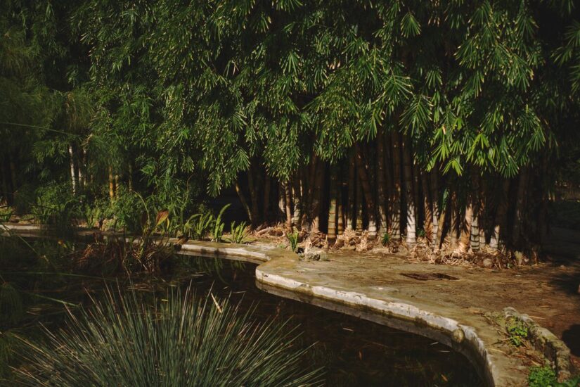 Palermo vista dall’obbiettivo del fotografo Maurizio Adamo