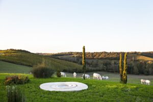 Ecco come le “art wineries” stanno disegnando il nuovo paesaggio culturale italiano