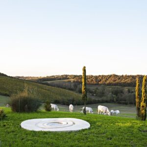 Ecco come le “art wineries” stanno disegnando il nuovo paesaggio culturale italiano