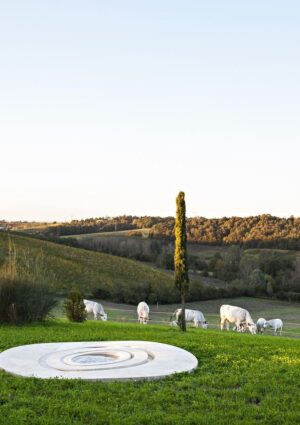 Ecco come le “art wineries” stanno disegnando il nuovo paesaggio culturale italiano