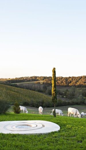Ecco come le “art wineries” stanno disegnando il nuovo paesaggio culturale italiano