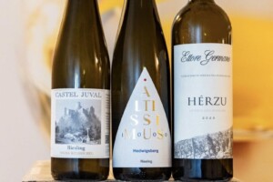 Il miglior Riesling d’Italia? È il Vigna Windbichel di Castel Juval-Unterortl dell’Alto Adige