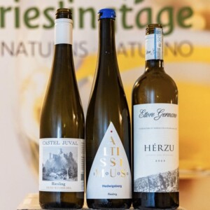 Il miglior Riesling d’Italia? È il Vigna Windbichel di Castel Juval-Unterortl dell’Alto Adige