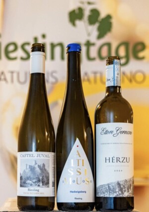 Il miglior Riesling d’Italia? È il Vigna Windbichel di Castel Juval-Unterortl dell’Alto Adige