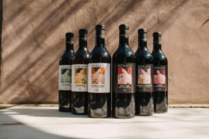 Il vino nasce dall’ascolto del vigneto nella sua essenza e dal profondo rispetto per chi lo coltiva