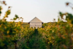 Se Champagne fa sempre più rima con hospitality, tra hotel e ristoranti nelle cantine