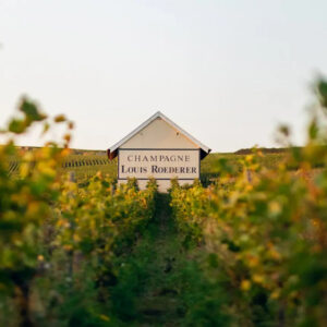 Se Champagne fa sempre più rima con hospitality, tra hotel e ristoranti nelle cantine