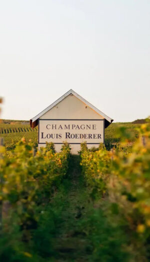 Se Champagne fa sempre più rima con hospitality, tra hotel e ristoranti nelle cantine