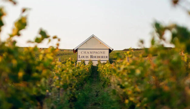 Se Champagne fa sempre più rima con hospitality, tra hotel e ristoranti nelle cantine