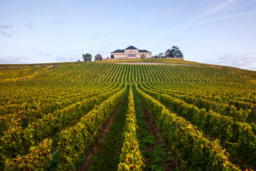 Schloss Johannisberg