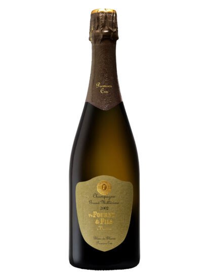 BLANC DE BLANCS, CHAMPAGNE, EXTRA BRUT, VEUVE FOURNY & FILS, Su i Vini di WineNews