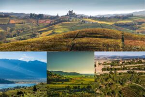 I vigneti di Barolo sono le terre agricole più preziose d’Italia: fino a 2,3 milioni ad ettaro