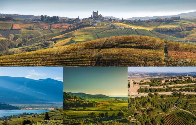 ALTO ADIGE, BAROLO, BOLGHERI, CREA, LAGO DI CALDARO, MONTALCINO, QUOTAZIONI, VALORI FONDIARI, VIGNETI, Italia