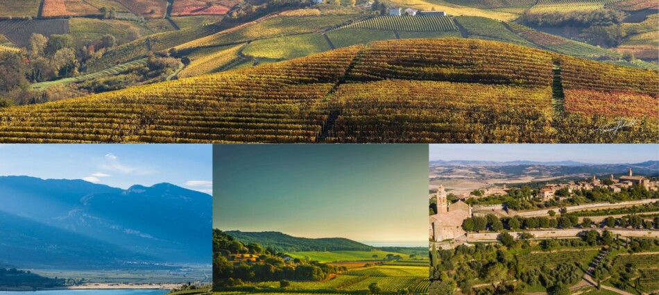 I vigneti di Barolo sono le terre agricole più preziose d’Italia: fino a 2,3 milioni ad ettaro