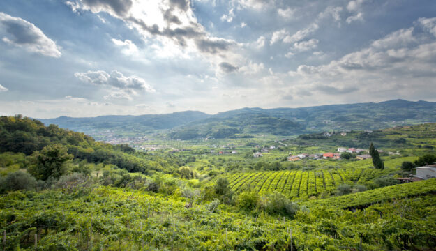 Bollicine, territorio e vitigno fanno la differenza. La ricerca Nomisma a “Durello & Friends”