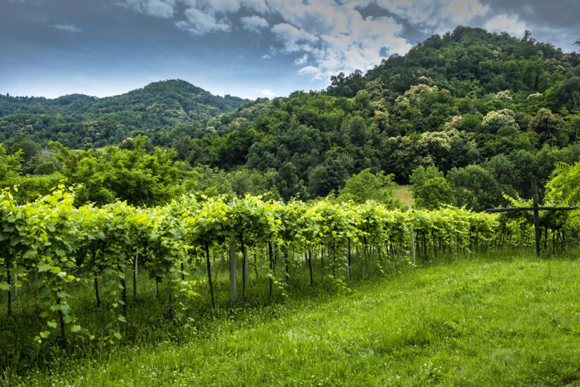  “Monti Lessini”, unica Doc veneta dedicata al metodo classico