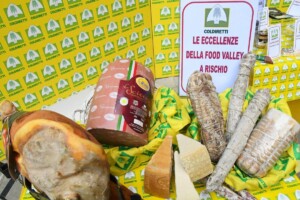 L’allarme della Coldiretti: il 97% dei cibi extra Ue entra in Europa senza controlli