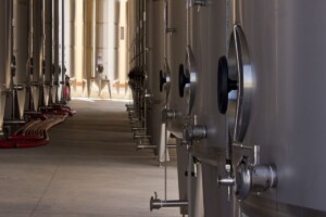 Mack & Schühle Italia acquisisce il 75% delle quote di Vinicola Antonio Divella in Puglia