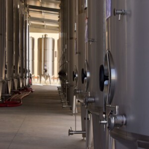 Mack & Schühle Italia acquisisce il 75% delle quote di Vinicola Antonio Divella in Puglia