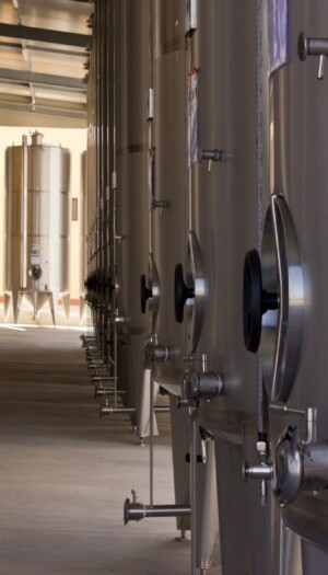 Mack & Schühle Italia acquisisce il 75% delle quote di Vinicola Antonio Divella in Puglia