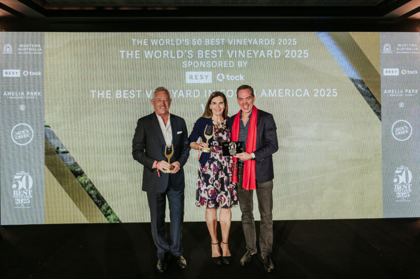 Vik, dal Cile, è la The World’s Best Winery of the Year