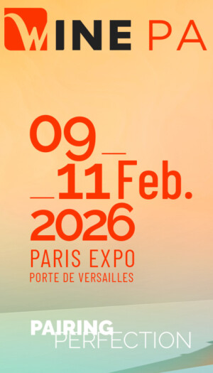 Wine Paris 2026, presenza record dell’Italia, che dal 2019 ha quasi quintuplicato il suo spazio