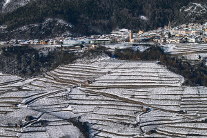 I Quaderni di WineNews - Il Trentodoc