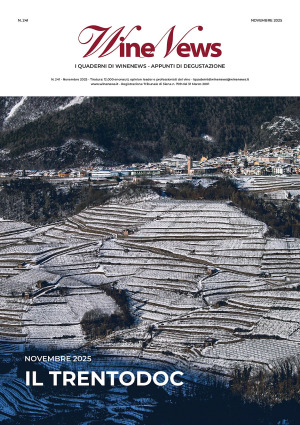 I Quaderni di WineNews - Il Trentodoc