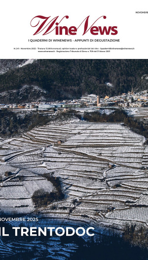 I Quaderni di WineNews