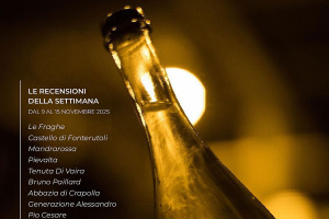 I Vini di WineNews - N. 388