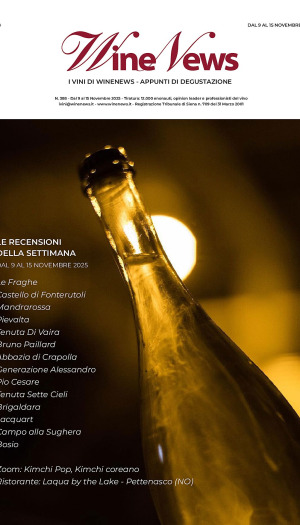 I Vini di WineNews