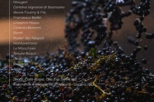 I Vini di WineNews - N. 389