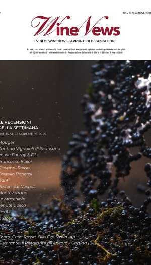 I Vini di WineNews