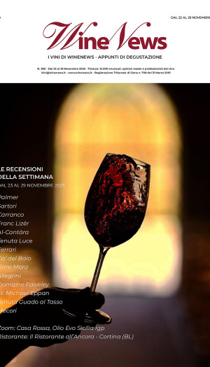 I Vini di WineNews