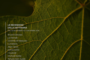 I Vini di WineNews - N. 391