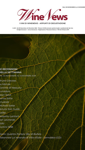 I Vini di WineNews