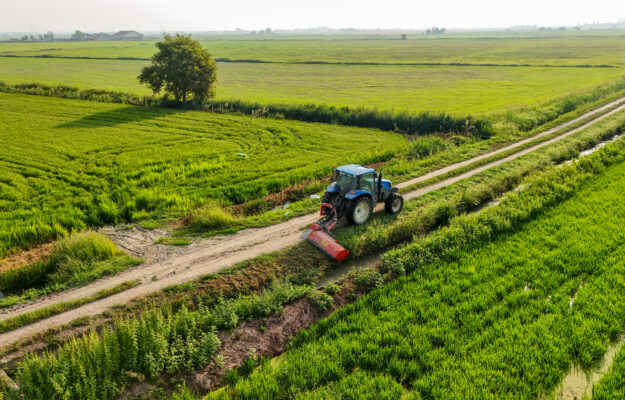 CIBO, Coldiretti, CONSUMO DI SUOLO, GIORNATA MONDIALE SUL CONSUMO DI SUOLO, ISPRA, SUOLO, SUPERFICIE AGRICOLA, Non Solo Vino