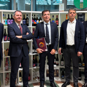 Meno vendite, ma pi&ugrave; guadagni, grazie ad organizzazione ed investimenti: il bilancio 2025 di Caviro