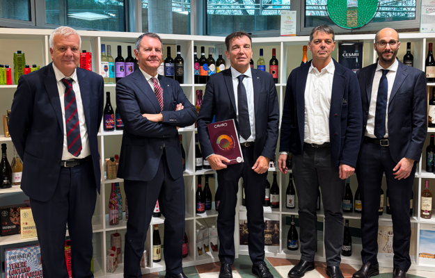 BILANCIO, CANTINE COOPERATIVE, EMILIA ROMAGNA, FATTURATO, GRUPPO CAVIRO, Italia