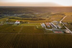 Tra radici antiche e qualità in crescita, avanza la Romania del vino (n. 8 al mondo per vigneti)