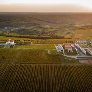 Tra radici antiche e qualità in crescita, avanza la Romania del vino (n. 8 al mondo per vigneti)