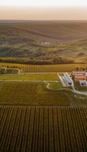 Tra radici antiche e qualit&agrave; in crescita, avanza la Romania del vino (n. 8 al mondo per vigneti)