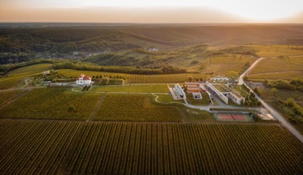 Tra radici antiche e qualit&agrave; in crescita, avanza la Romania del vino (n. 8 al mondo per vigneti)