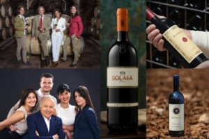 Gaja, Ornellaia, Monteverro, G.B. Burlotto, Antinori: le cantine italiane top per la &ldquo;Bww&rdquo; 2025